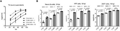 Interactome and Ubiquitinome Analyses Identify Functional Targets of Herpes Simplex Virus 1 Infected Cell Protein 0